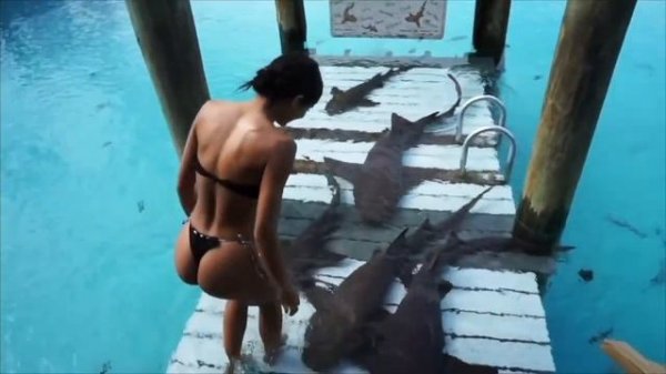 Try Not To Be Fascinated (Yovanna Ventura Edition)