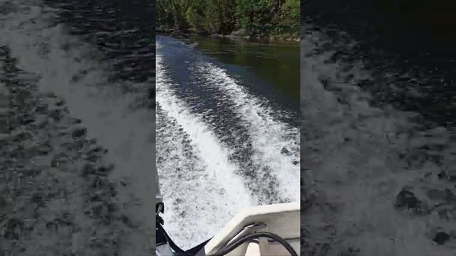 15 Hk Evenrude på Terhi 405 Sport. смотреть онлайн