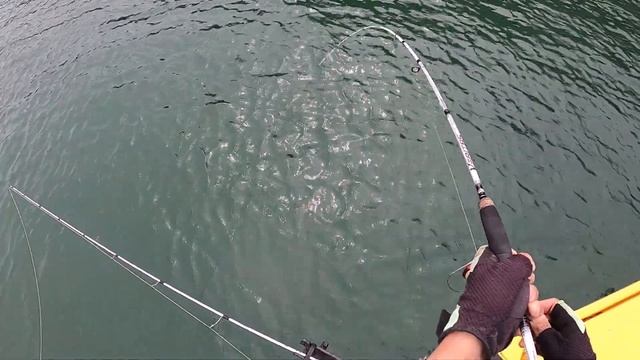 Rapala Ripstop Vs Tailor Episode 23