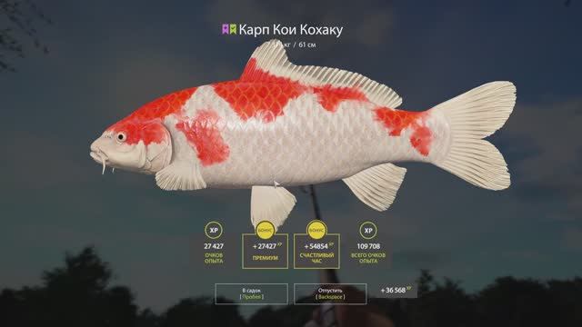 Русская рыбалка 4. Медное без ПВА.