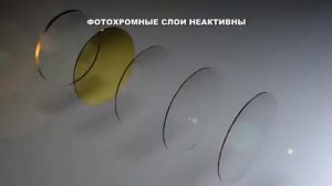 DRIVEWEAR   фотохромные поляризованные линзы для водителей 1