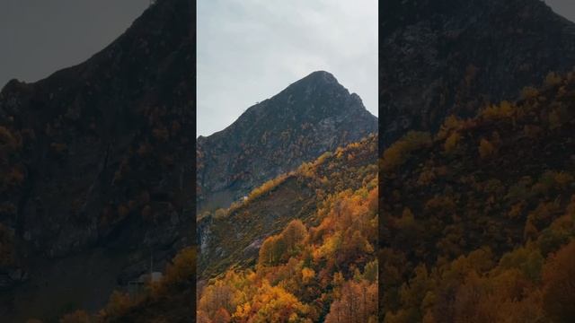 Осень на вершинах Сочи - сказка, которую нельзя пропустить 🍂 смотреть онлайн
