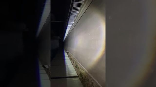 Toby's H4 lupali led Narxi 550.000 ming Malumot uchun Tel+998909370027 смотреть онлайн