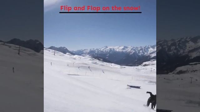 SkiSkate Mini смотреть онлайн