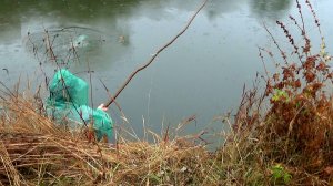 Отличная рыбалка 5 октября на сабанеевские снасти!