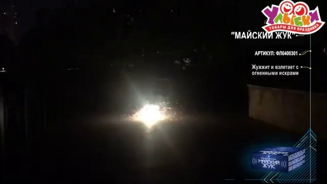 ФЛ0400301 Майский жук смотреть онлайн