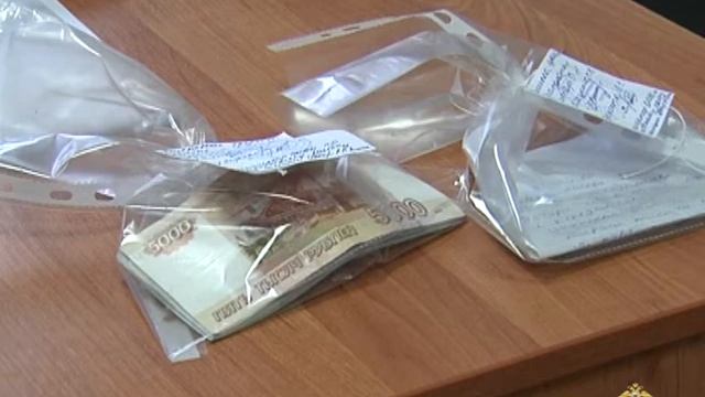 полицейские задержали гражданку Узбекистана, продав смотреть онлайн