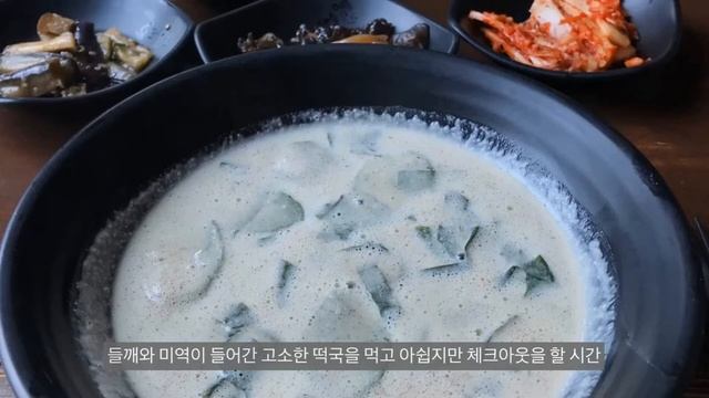 3 Days In Jeju Island 🏝 : Tropical Garden, Beach, Boat, Go-Kart Fun 🛺 제주도 | 한림공원 | 해변 | 보트 | 우도