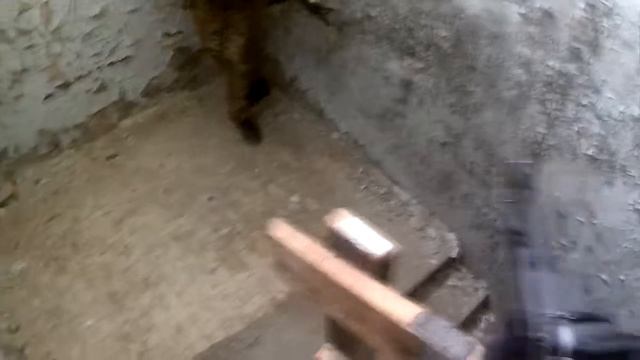 Airsoft / Страйкбол CQB G.R.O.M. смотреть онлайн