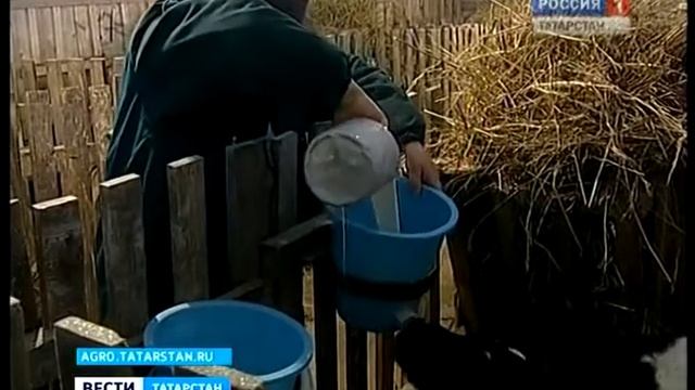 поддержка фермеров смотреть онлайн