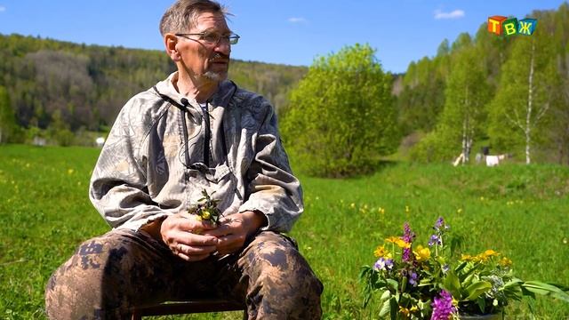 Травник Гордеев