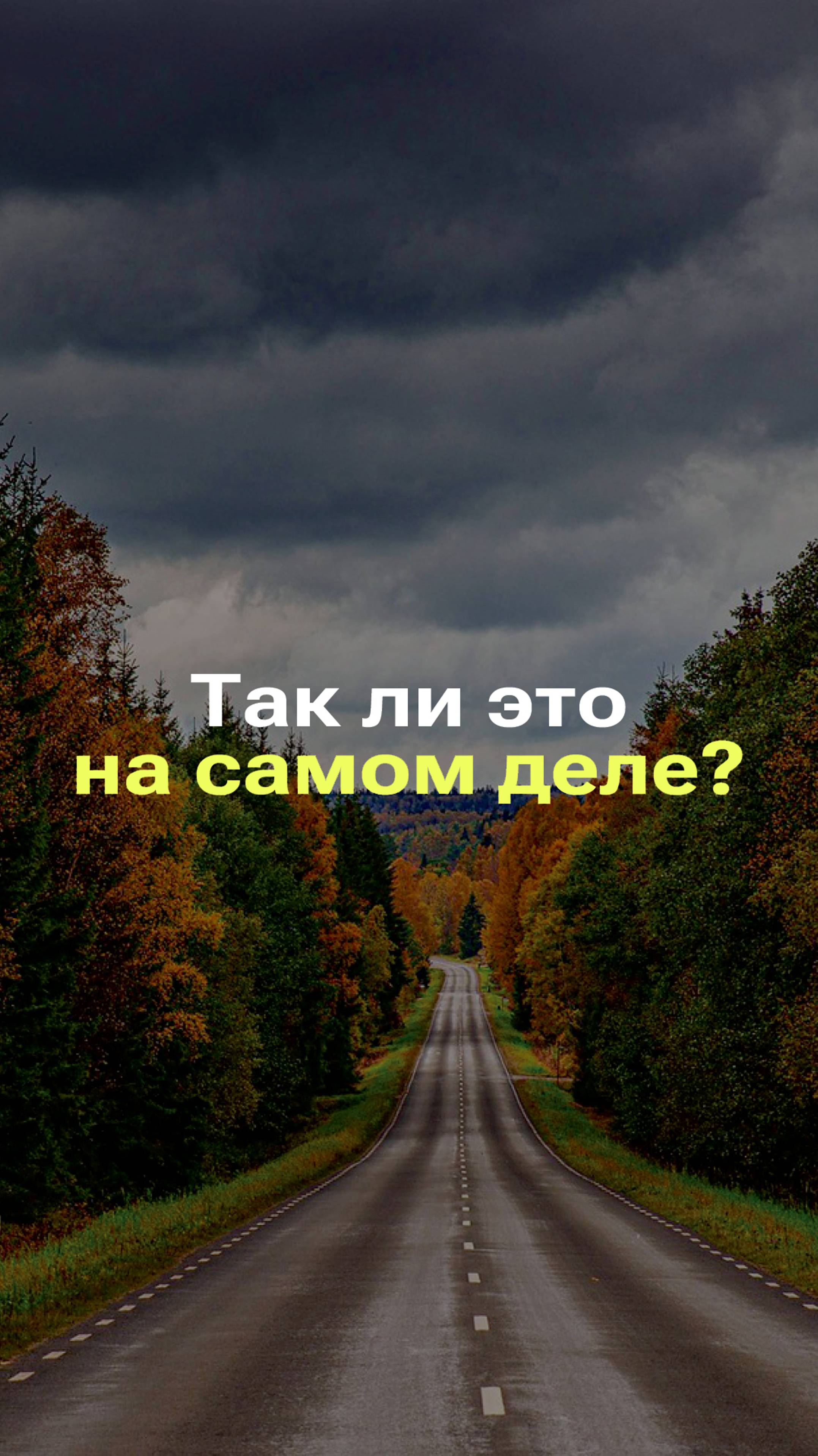 ЧЕМ ОПАСНА ДОРОГА ОСЕНЬЮ? #фейк #факты #новости смотреть онлайн