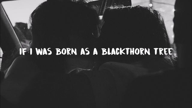 Hozier - NFWMB (Lyrics)