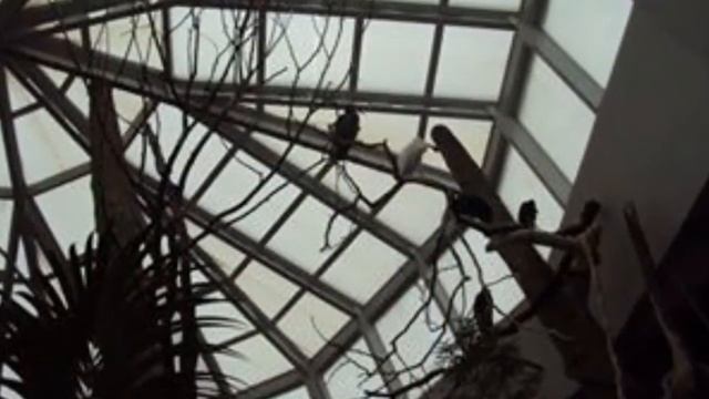 HBD Ate Lucy - from your KFF Family :)) смотреть онлайн