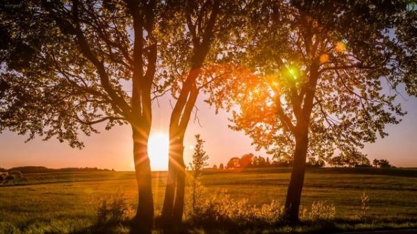 Peder B. Helland - Always (Radio Edit)