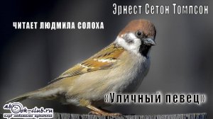 Эрнест Сетон Томпсон «Уличный певец» (рассказ)