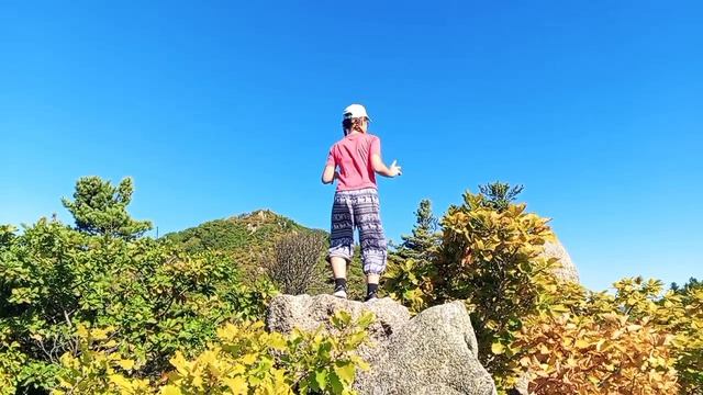 душа поёт #shorts