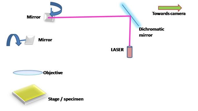 Confocal Microscopy смотреть онлайн