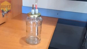Лаборатория для ИО пчелиных маток