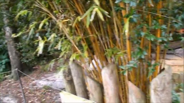 Jacksonville Zoo: Kids Free Month (P1 Aviary) смотреть онлайн