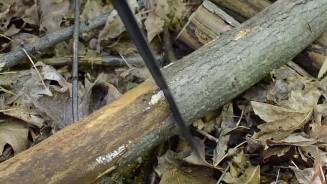 Top Bushcraft Folding Saws Comparison