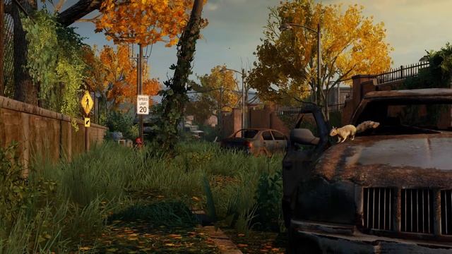 The Last of Us Remastered - Photo Mode (Spoilers) смотреть онлайн