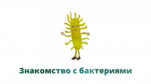 36. Знакомство с бактериями