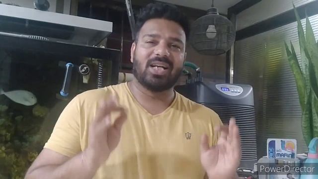 How To Use Aquarium Chiller | HAILEA HC-500A | Uses Of Chiller | In Hindi #HAILEA #reef #marine