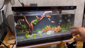 Мини мир от Xiaomi