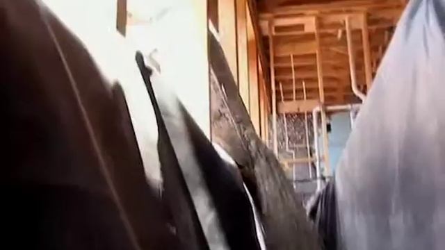 24_DOC: МЕЧТЫ ИЗ МУСОРА смотреть онлайн