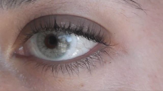 Solotica Ipanema vs Jade (DETAILED COMPARISON!) смотреть онлайн