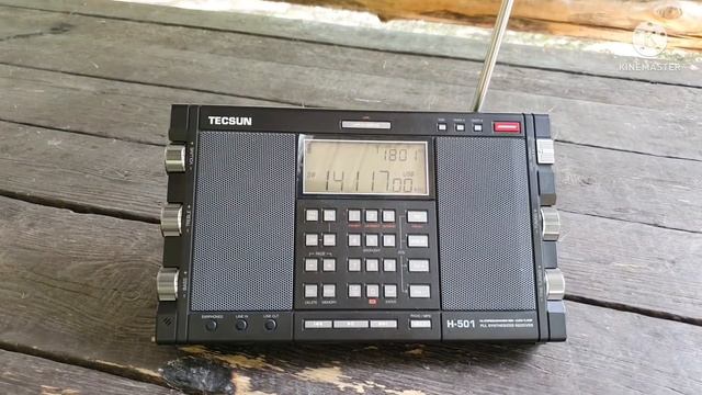 Tecsun H 501