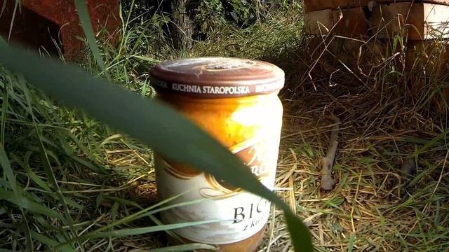 Gotowanie Bigosu Soczewką Fresnela