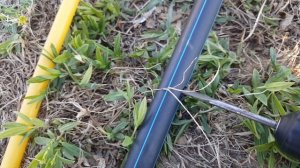 Как присоединить капельную ленту к магистральной трубе.