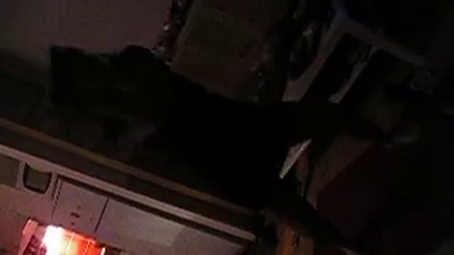 TEKTONITE смотреть онлайн