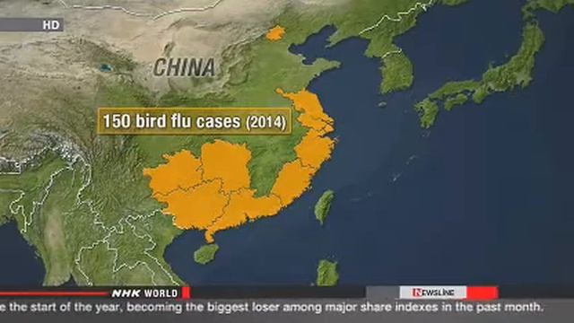 Bird flu cases in China already top last year's смотреть онлайн