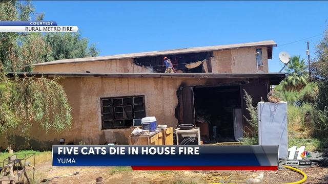 Five cats dead, home destroyed in 42nd Ave house fire смотреть онлайн