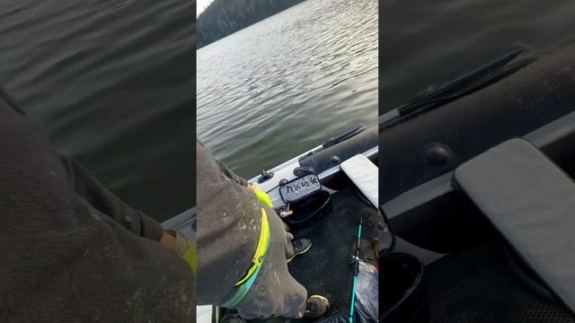 Доброе Морозное ! смотреть онлайн