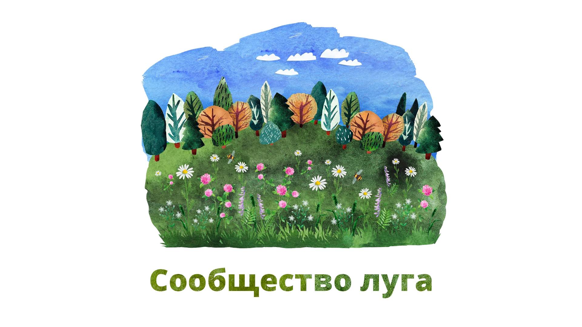 44. Сообщество луга