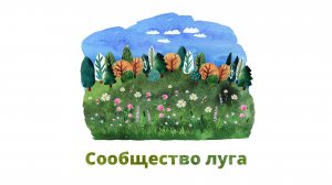 44. Сообщество луга