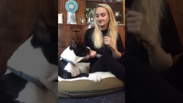 Отзыв Алена смотреть онлайн