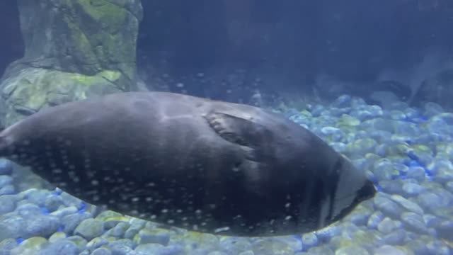 Владивосток 2024 путешествие смотреть онлайн