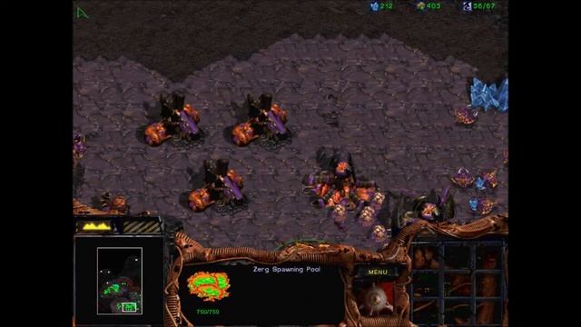 StarCraft - Zerg mission #3 :THE NEW DOMINION смотреть онлайн