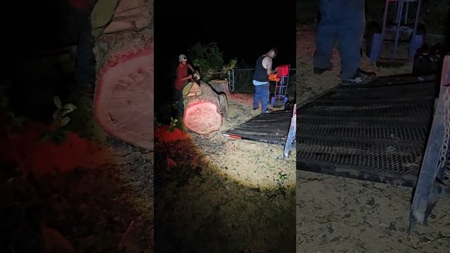 Final Night for Excuvation of the Water Oak! смотреть онлайн