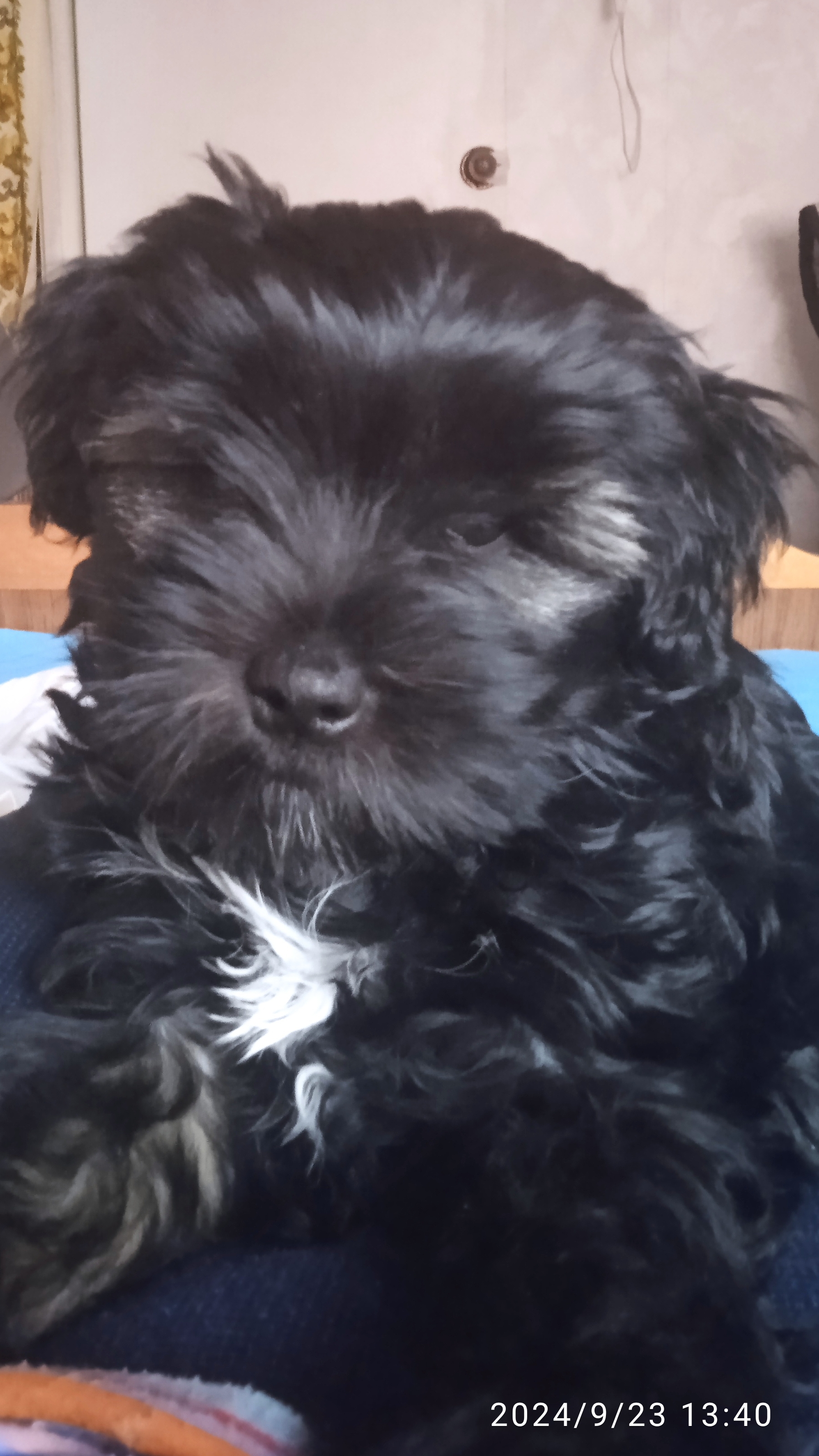 scene_output.mp4 смотреть онлайн