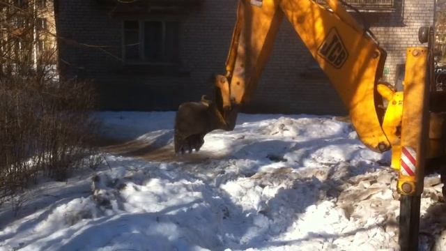Супер дворник или гении ЖКХ 2 смотреть онлайн