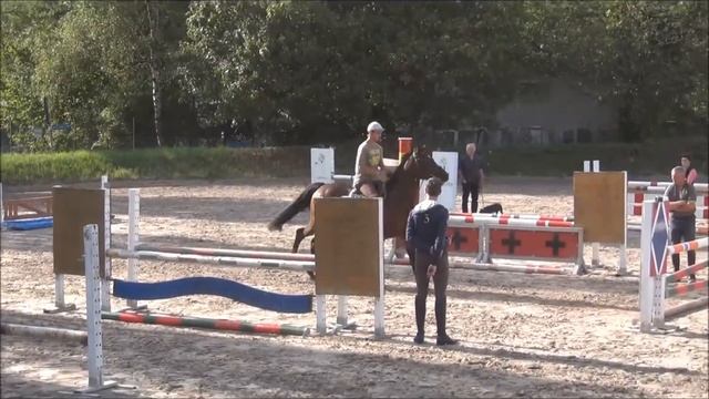 Heiniger-Pferde.com Stolzenberg x FAN Holland 5j. Sppf. gewonnen смотреть онлайн