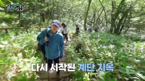 RUN JIN BTS EP 1 Прошло 5 дней с дембеля, а я иду на Халласан