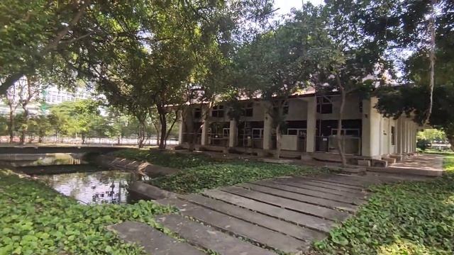 Chulalongkorn University Centenary Park прогулка по территории университета смотреть онлайн