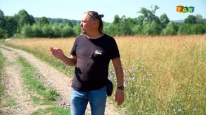 Усть Курышка